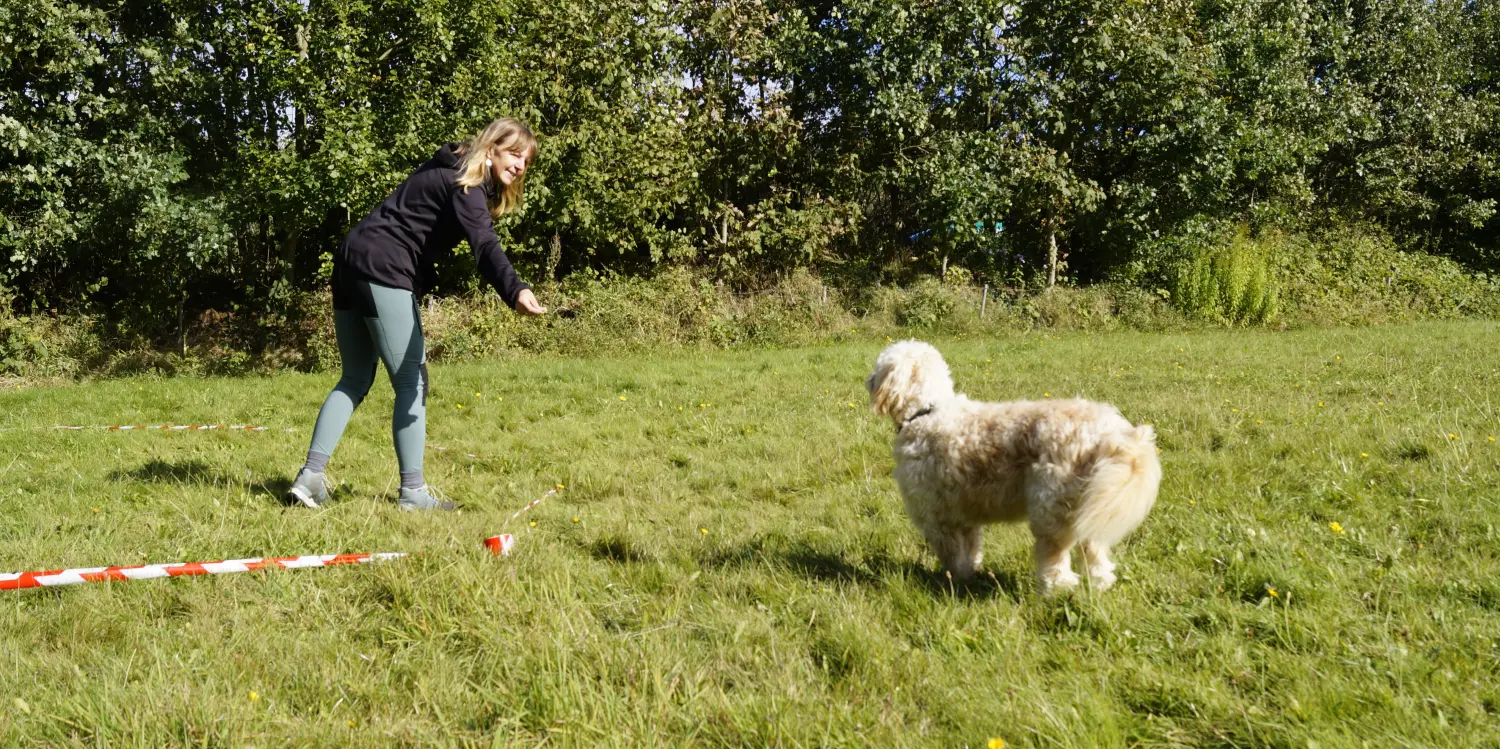 Hund von Betzy and Dogs