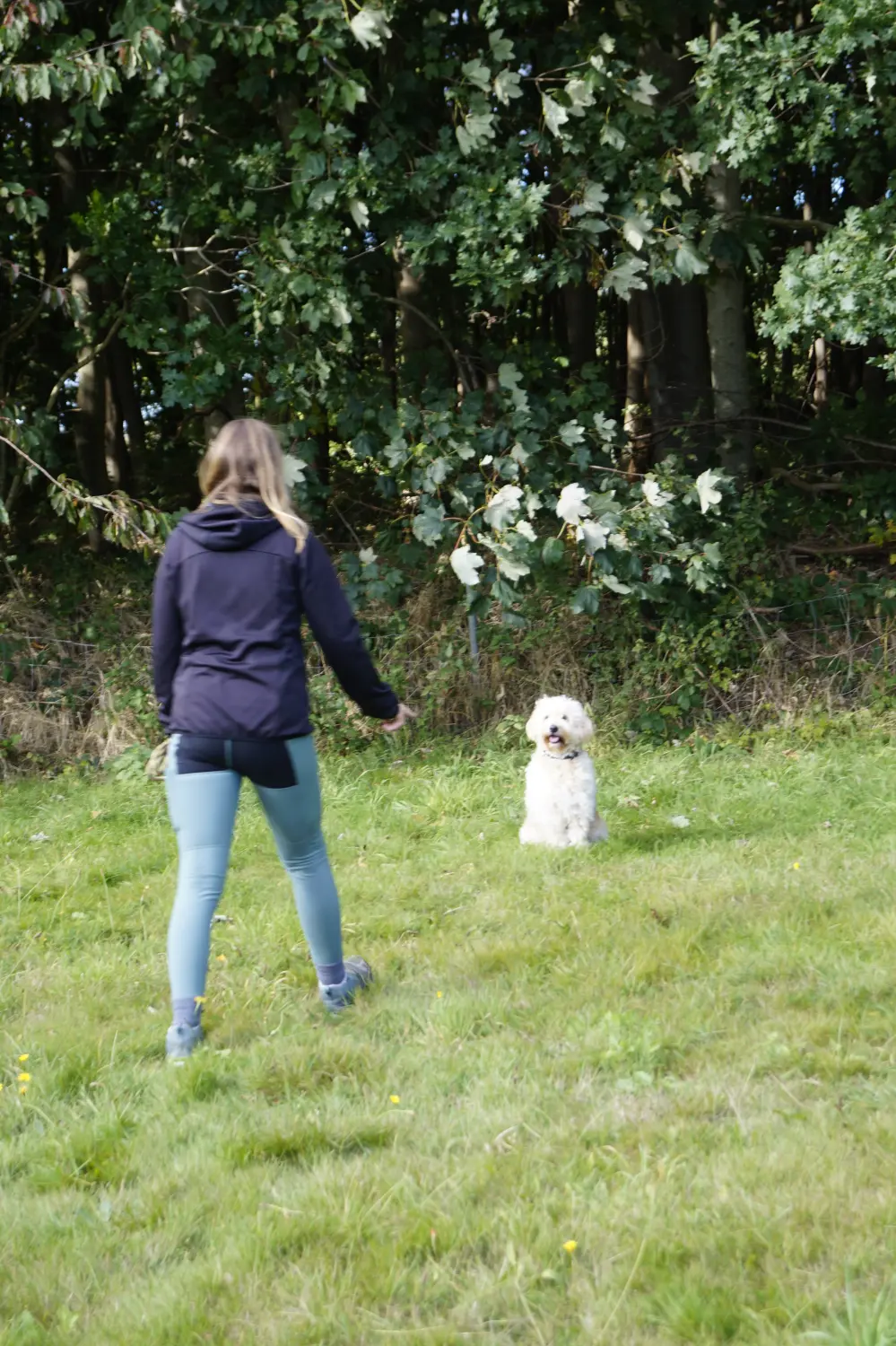 Hund mit Trainer von Betzy and Dogs