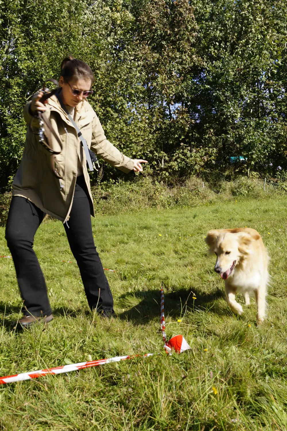 Hund mit Trainer von Betzy and Dogs