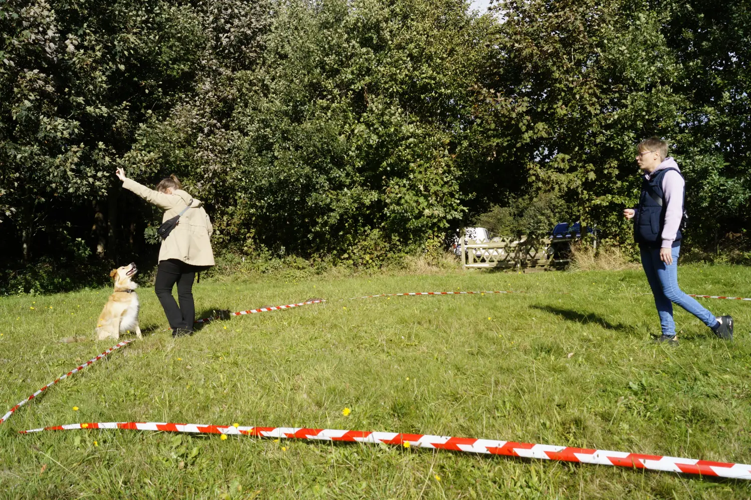 Hund mit Trainer von Betzy and Dogs