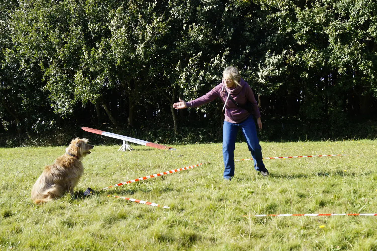 Hund mit Trainer von Betzy and Dogs