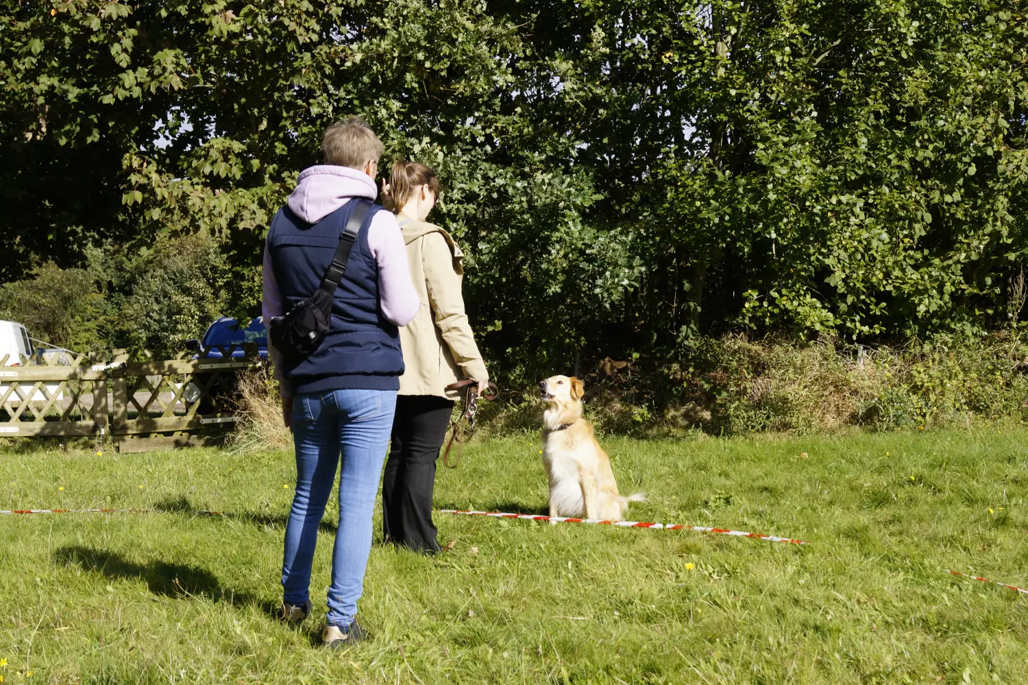 Hund mit Trainer von Betzy and Dogs