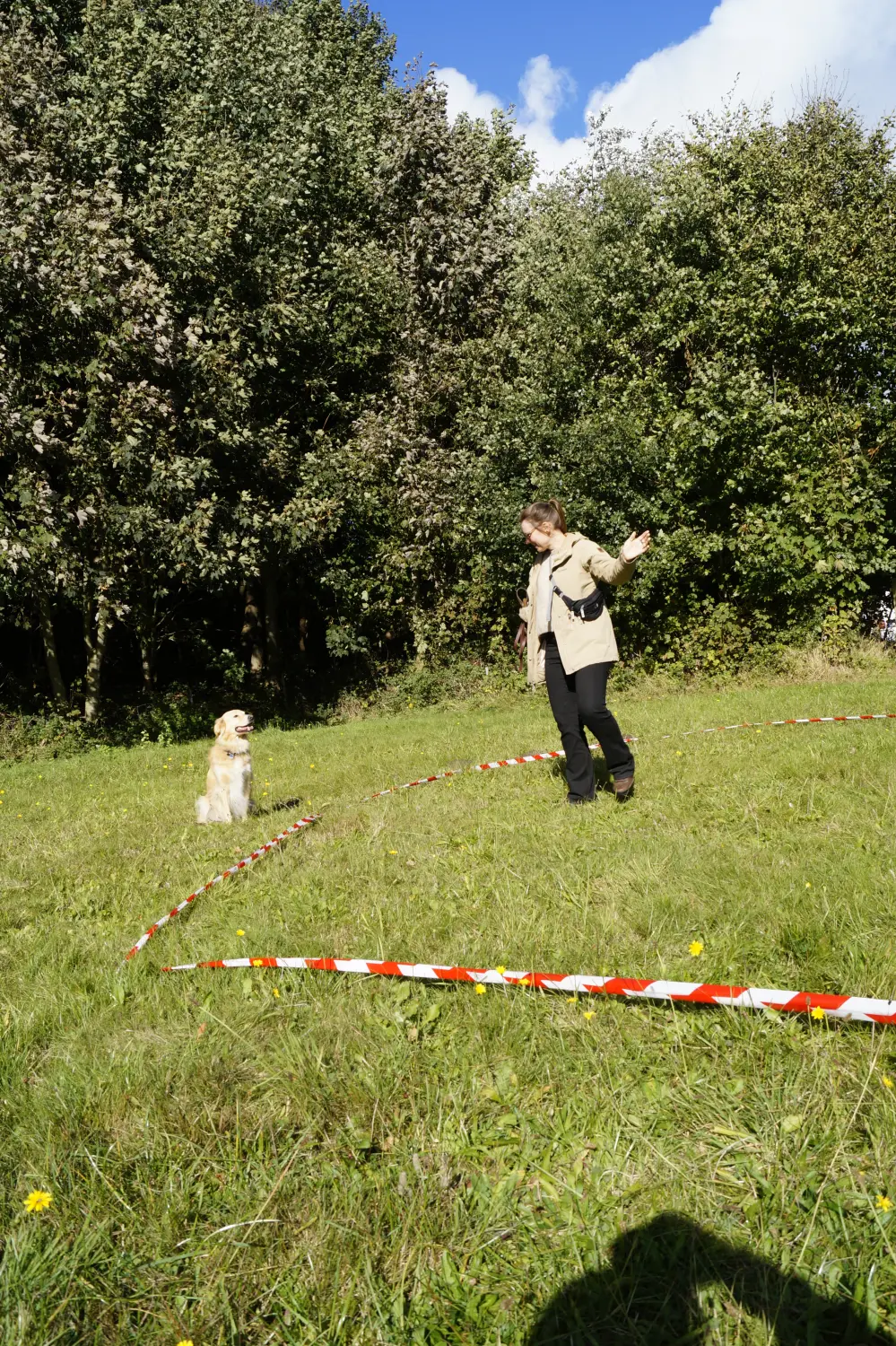 Hund mit Trainer von Betzy and Dogs