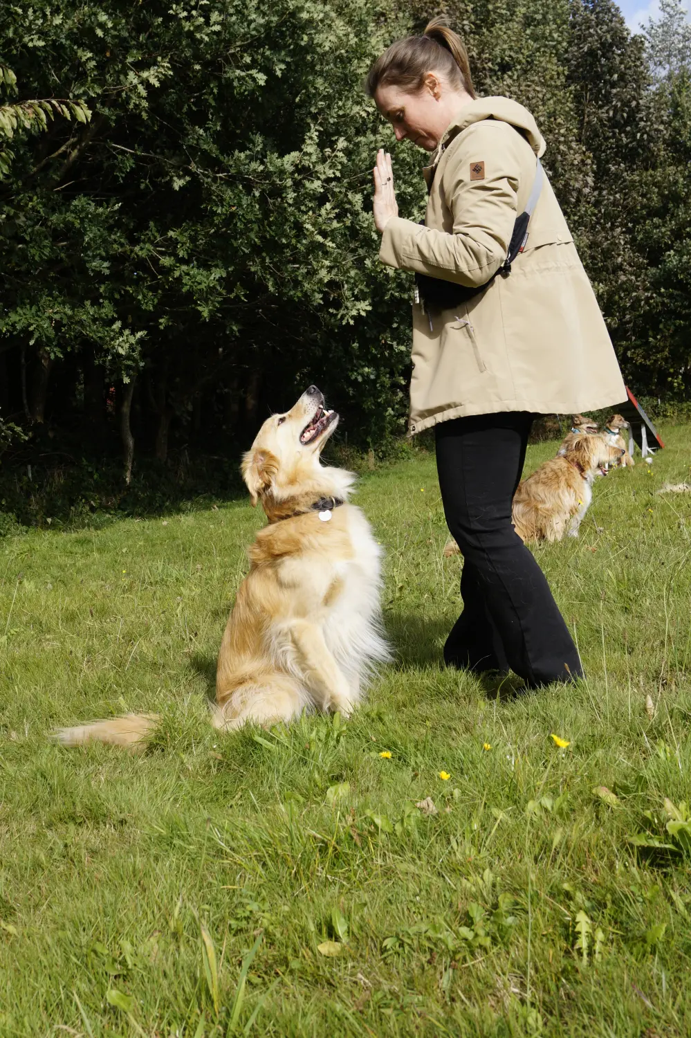 Hund mit Trainer von Betzy and Dogs