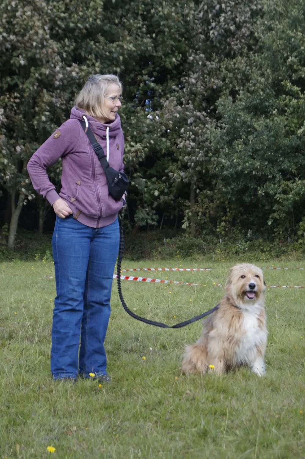 Hund mit Trainer von Betzy and Dogs