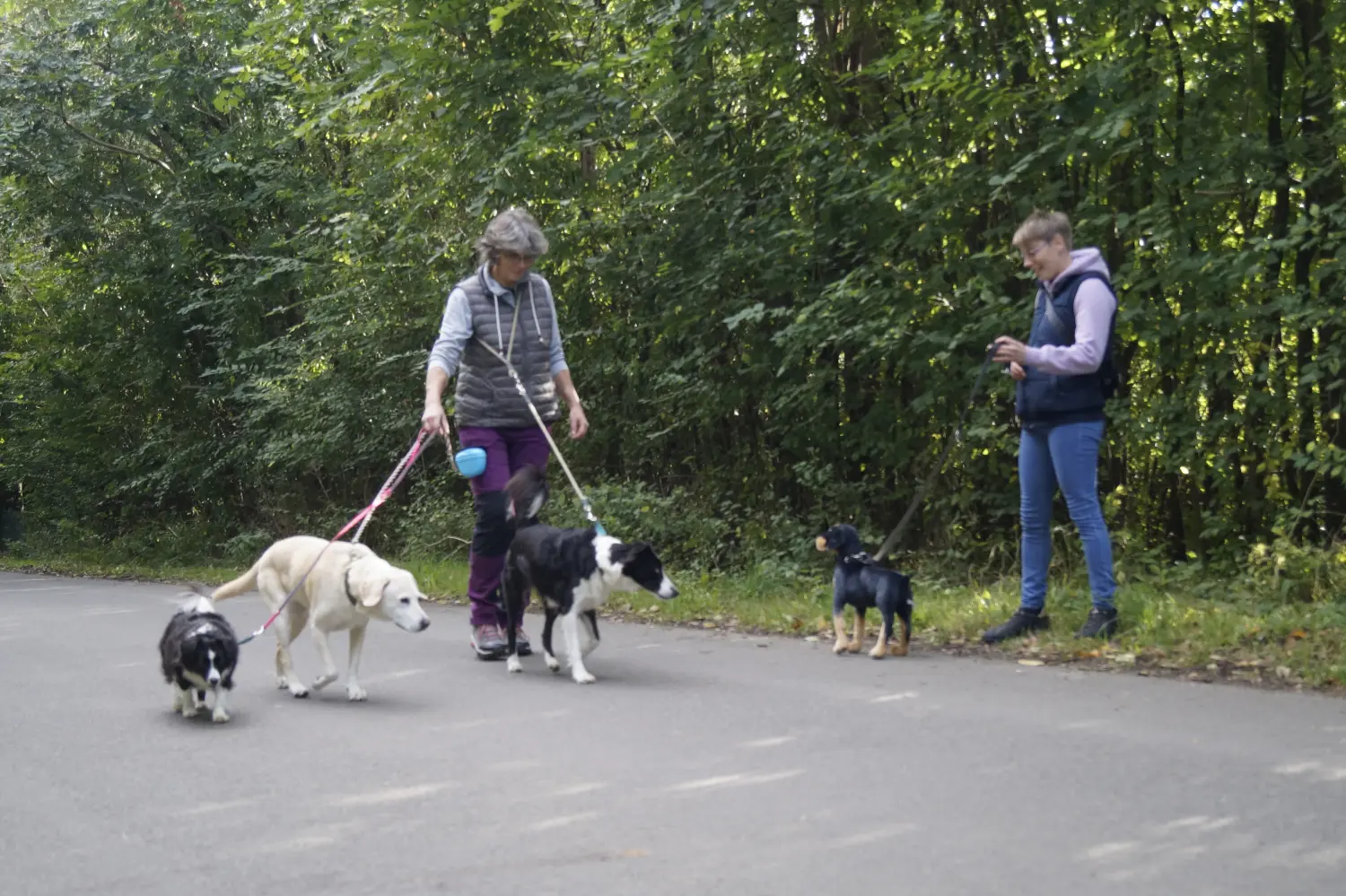 Hund mit Trainer von Betzy and Dogs