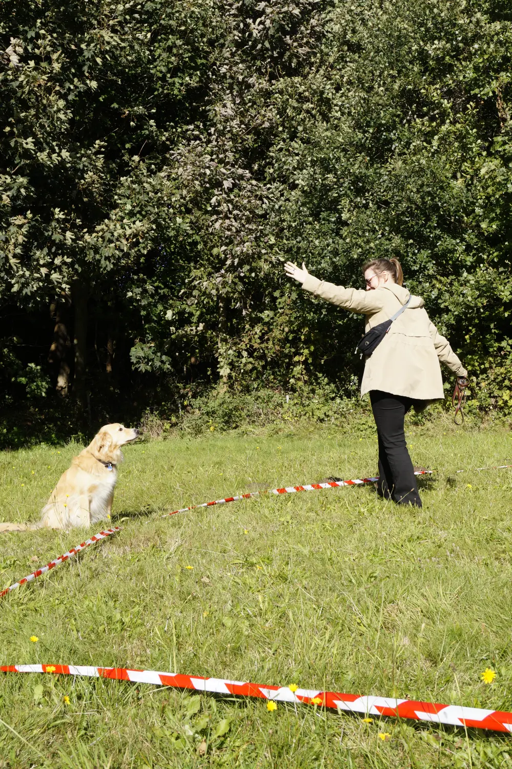 Hund mit Trainer von Betzy and Dogs