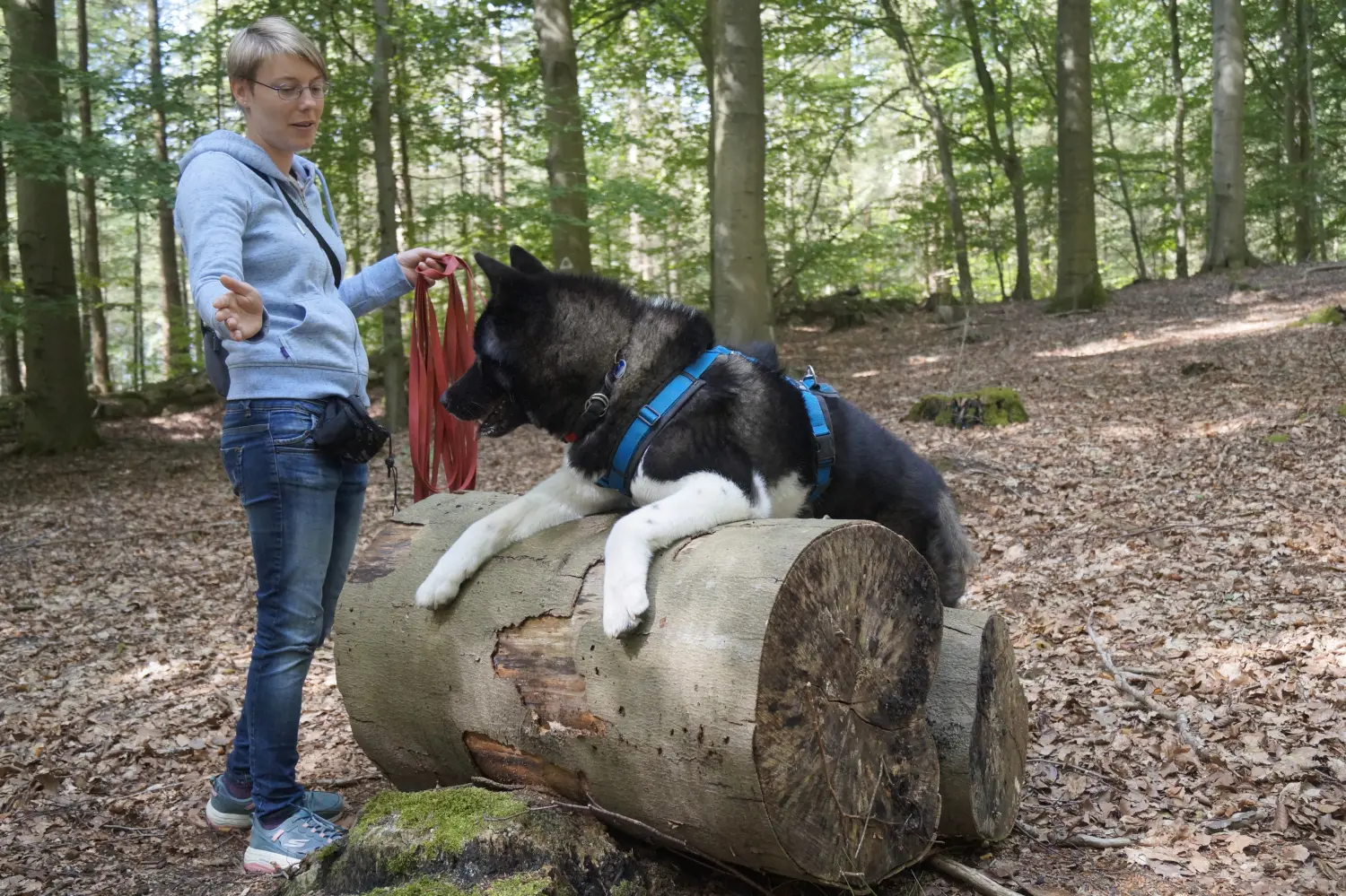 Hund mit Trainer von Betzy and Dogs