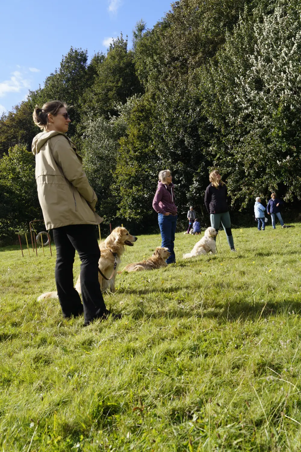 Hund mit Trainer von Betzy and Dogs